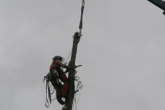 Bild20